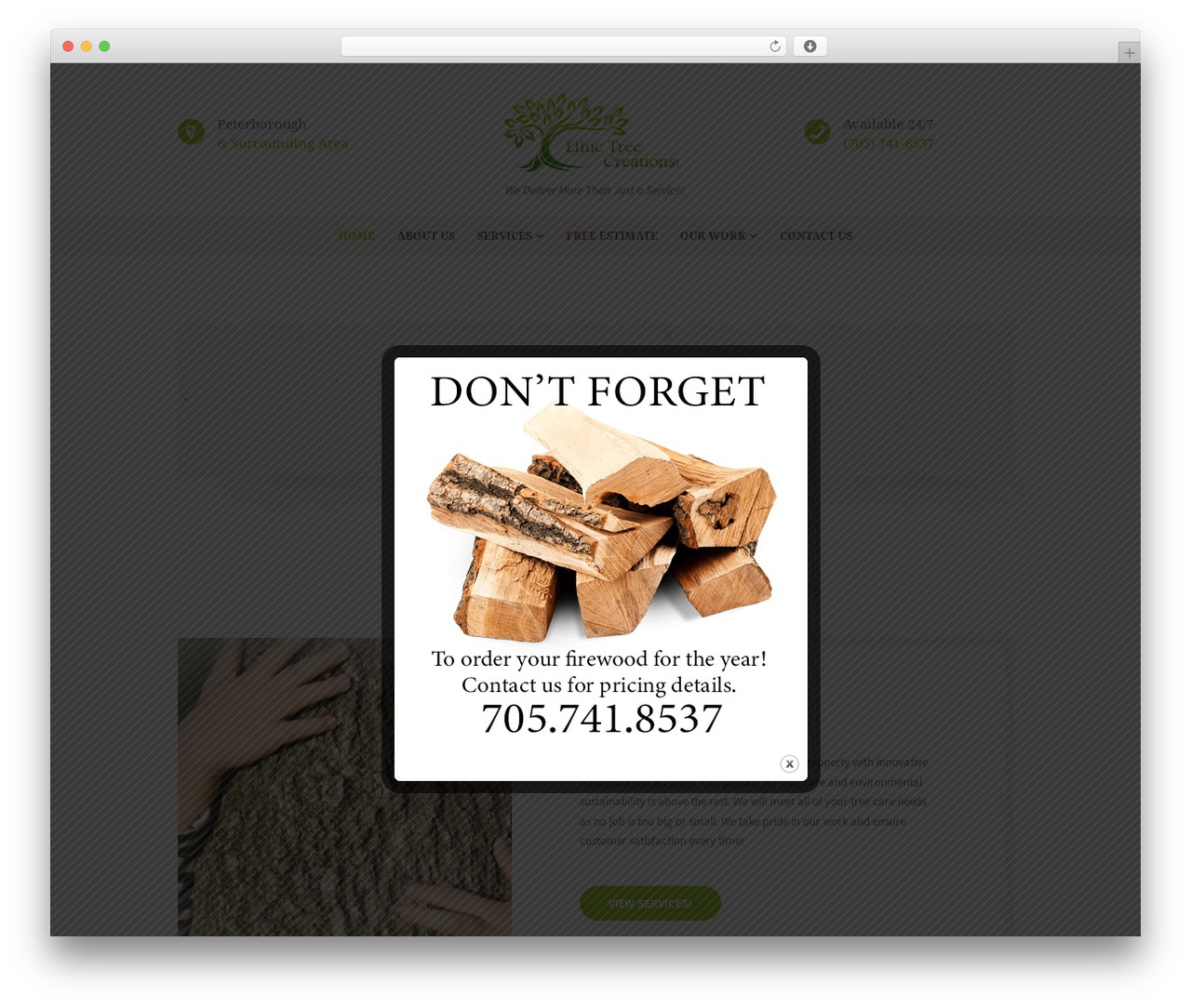 WP theme Buisson - ethictreecreations.com WP theme Buisson - ethictreecreations.com