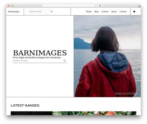 Blocksy theme WordPress - barnimages.com