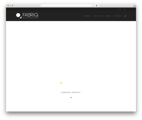Divi WordPress page theme - fabriq.com