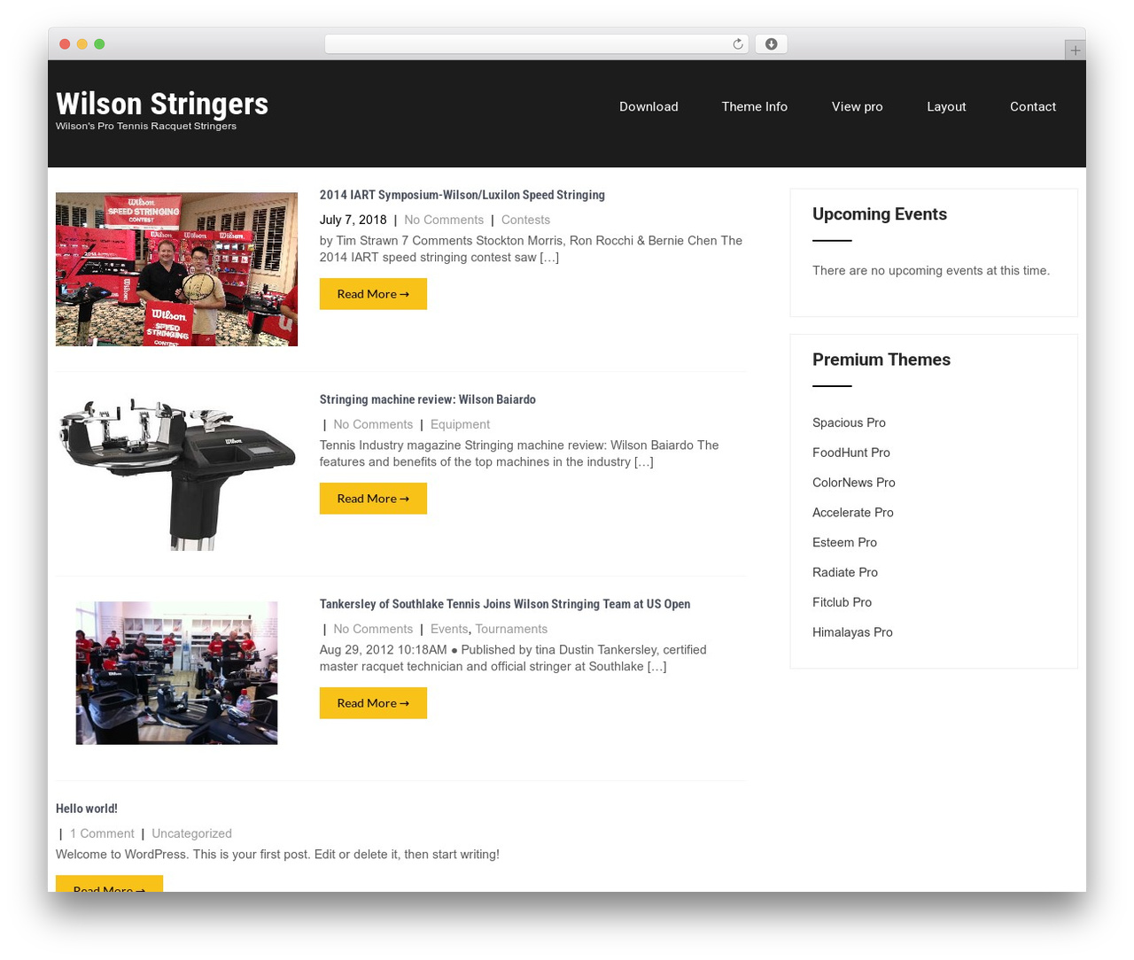 Fundraiser Lite WordPress theme - savingprivatedata.com