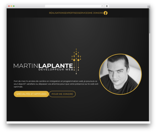 ML best WordPress theme - martinlaplante.com