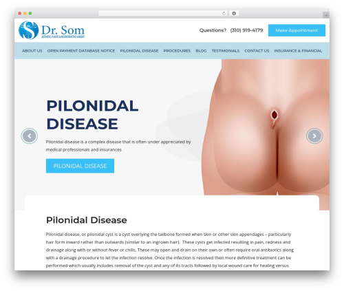 Pilonidal theme WordPress - pilonidaltreatment.com