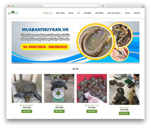 Theme WordPress Flatsome - muabanthuysan.vn