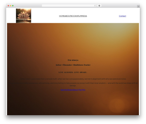 WordPress theme wordpress-express-43 - priacharya.com