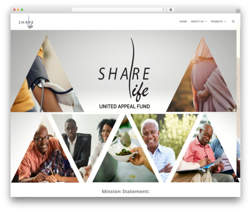 WP theme Create - share-life.info