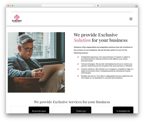 Amtech WordPress theme - globanus.com
