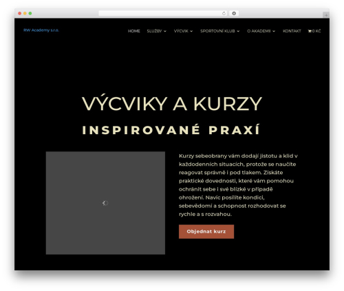 Divi best WordPress theme - www.rwacademy.cz