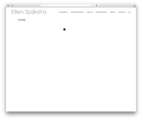 Divi WordPress gallery theme - ellenspijkstra.com