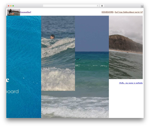 Custom Fonts (custom-fonts) free WordPress plugin - coconatsurf.com Custom Fonts (custom-fonts) free WordPress plugin - coconatsurf.com