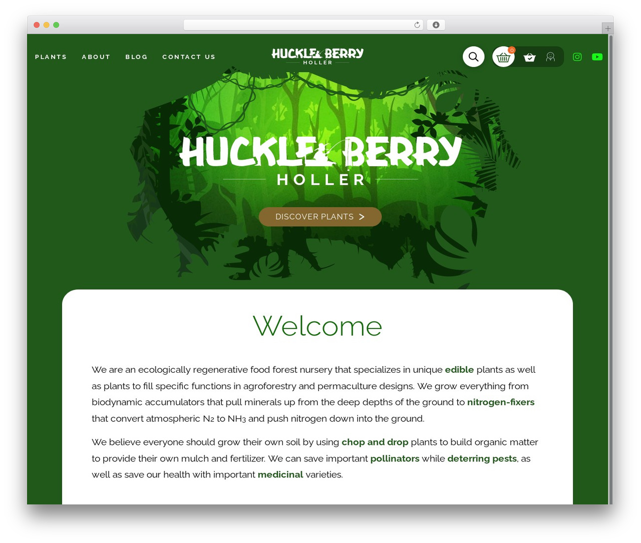 WordPress theme Pro - huckleberryholler.com