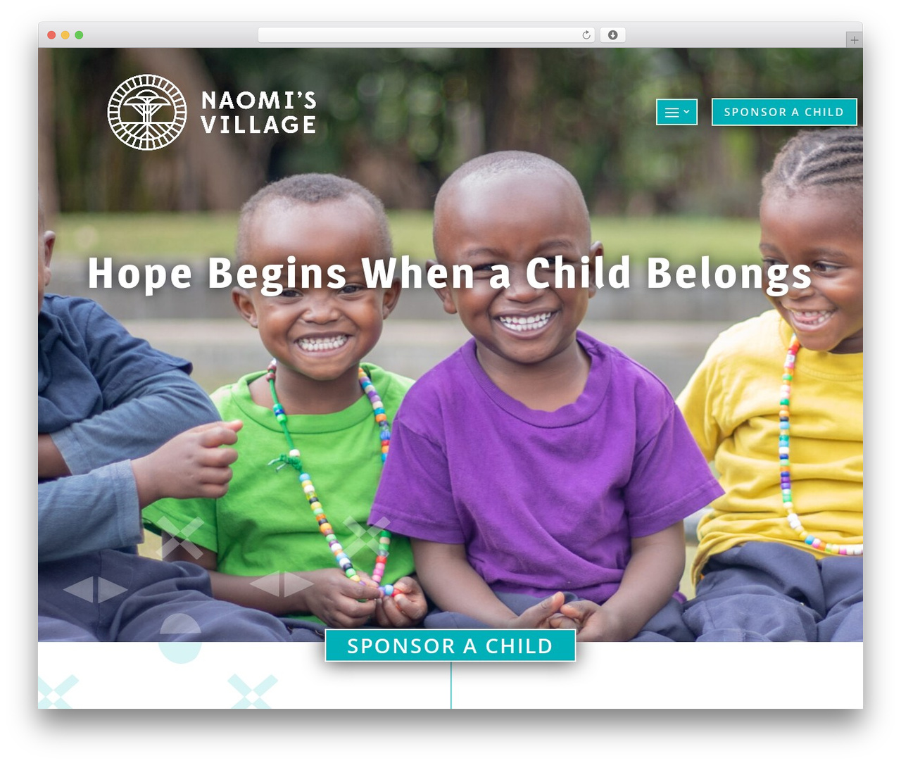 WordPress website theme Divi - naomisvillage.org WordPress website theme Divi - naomisvillage.org
