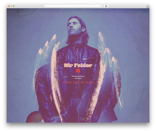 Best WordPress theme wordpress-bootstrap-master-child - nirfelder.com