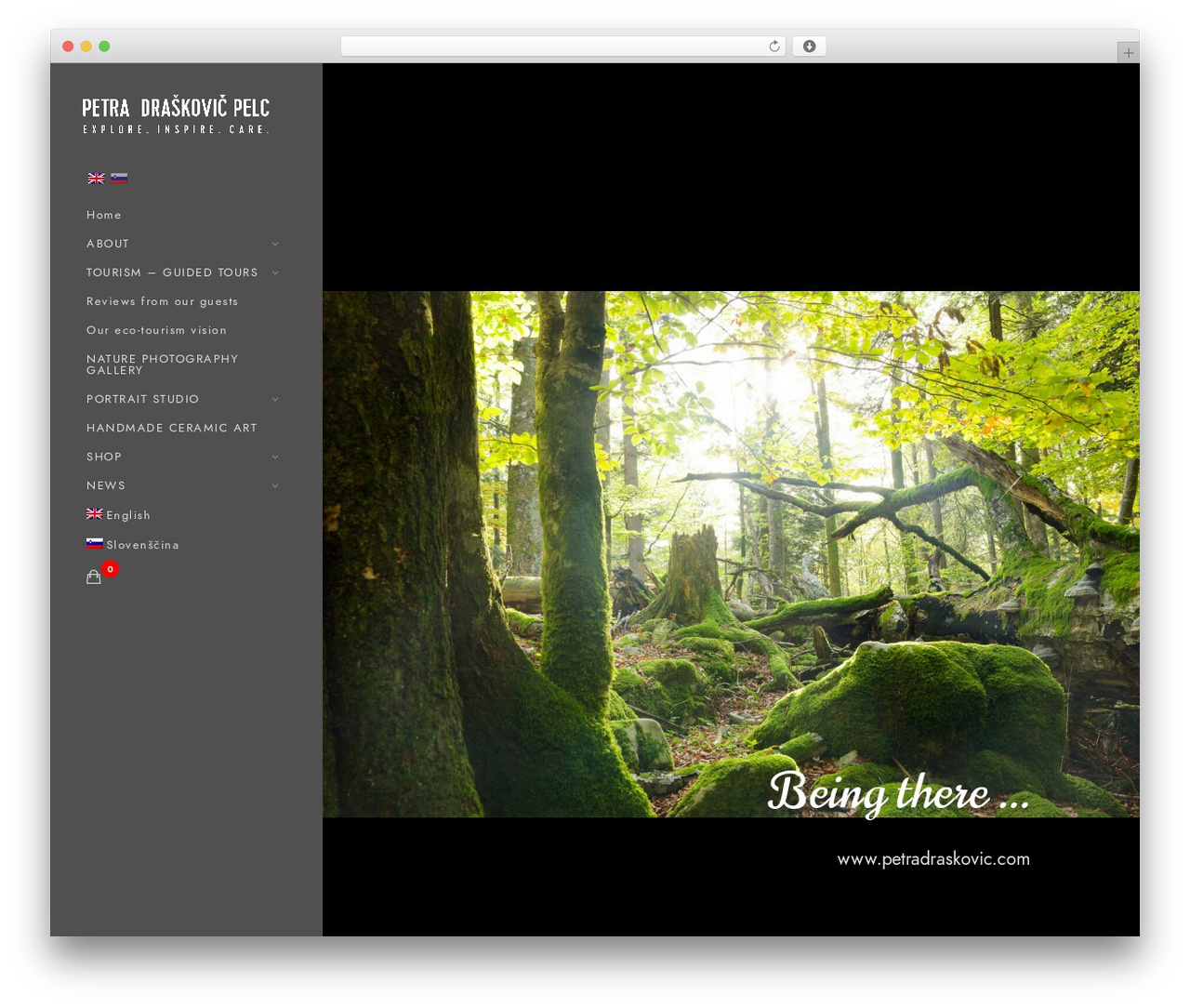 Blacksilver best WordPress theme - petradraskovic.com Blacksilver best WordPress theme - petradraskovic.com