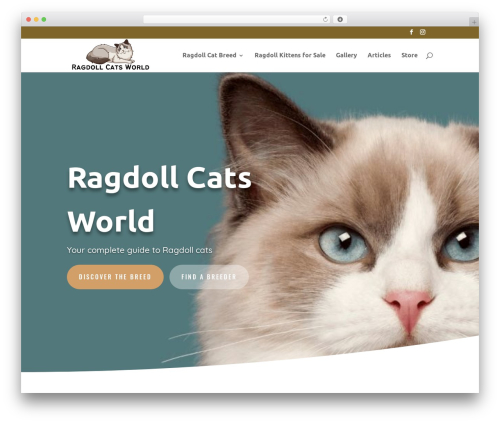 Envira albums WordPress plugin - ragdollcatsworld.com