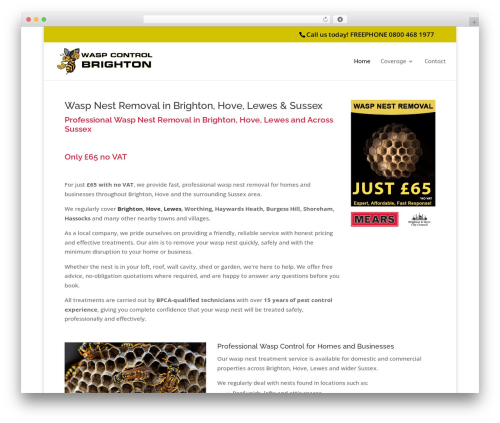 Divi WordPress theme - waspcontrolbrighton.com