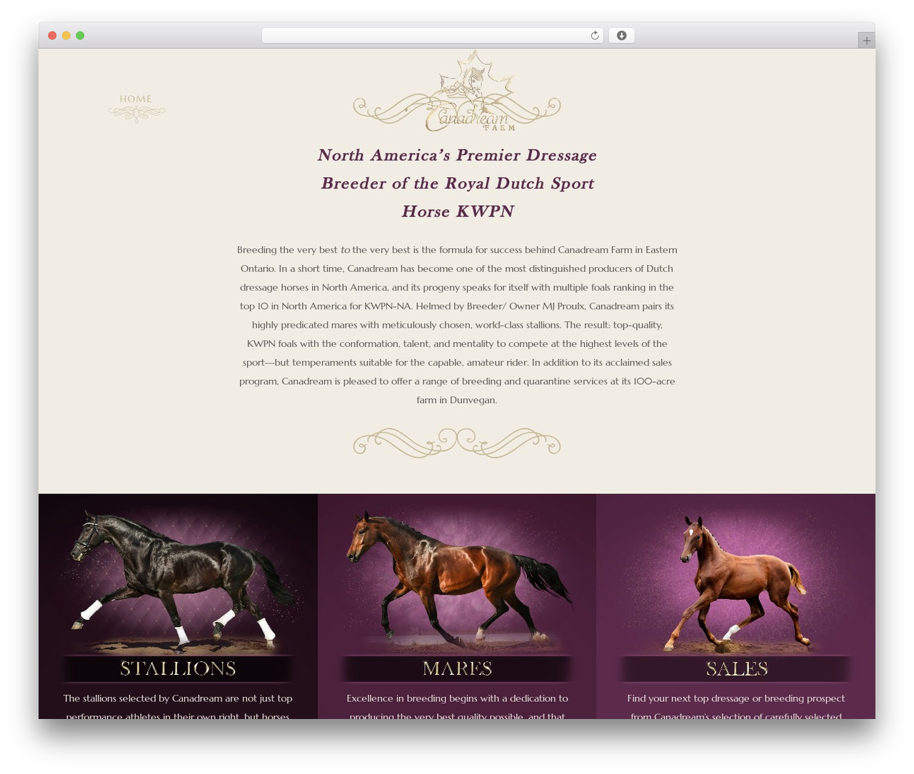 WordPress theme Bridge - canadreamfarmkwpn.com WordPress theme Bridge - canadreamfarmkwpn.com