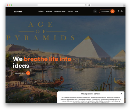 WordPress theme Cassagi - cassagi.com