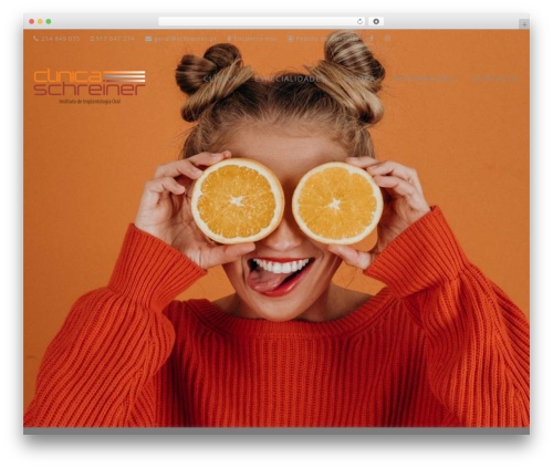 Portfolio_builder WordPress plugin - schreiner.pt