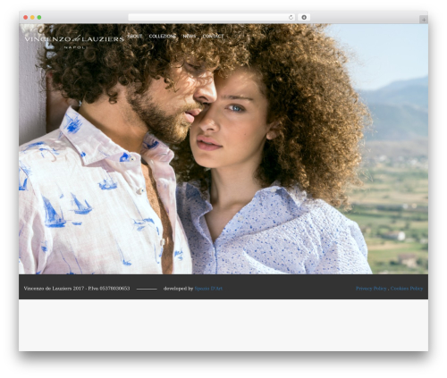 WordPress theme Nextop - vincenzodelauziers.com
