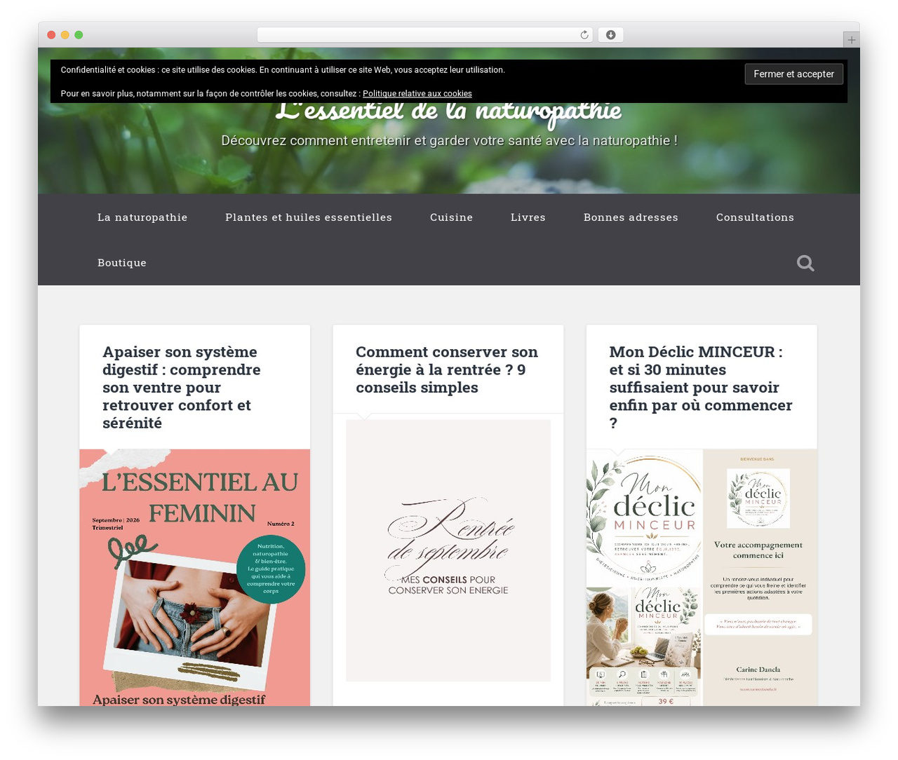 Baskerville 2 - WordPress.com WordPress theme - naturo-essentiel.com Baskerville 2 - WordPress.com WordPress theme - naturo-essentiel.com