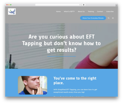 Platform WordPress theme design - simplifiedeft.com