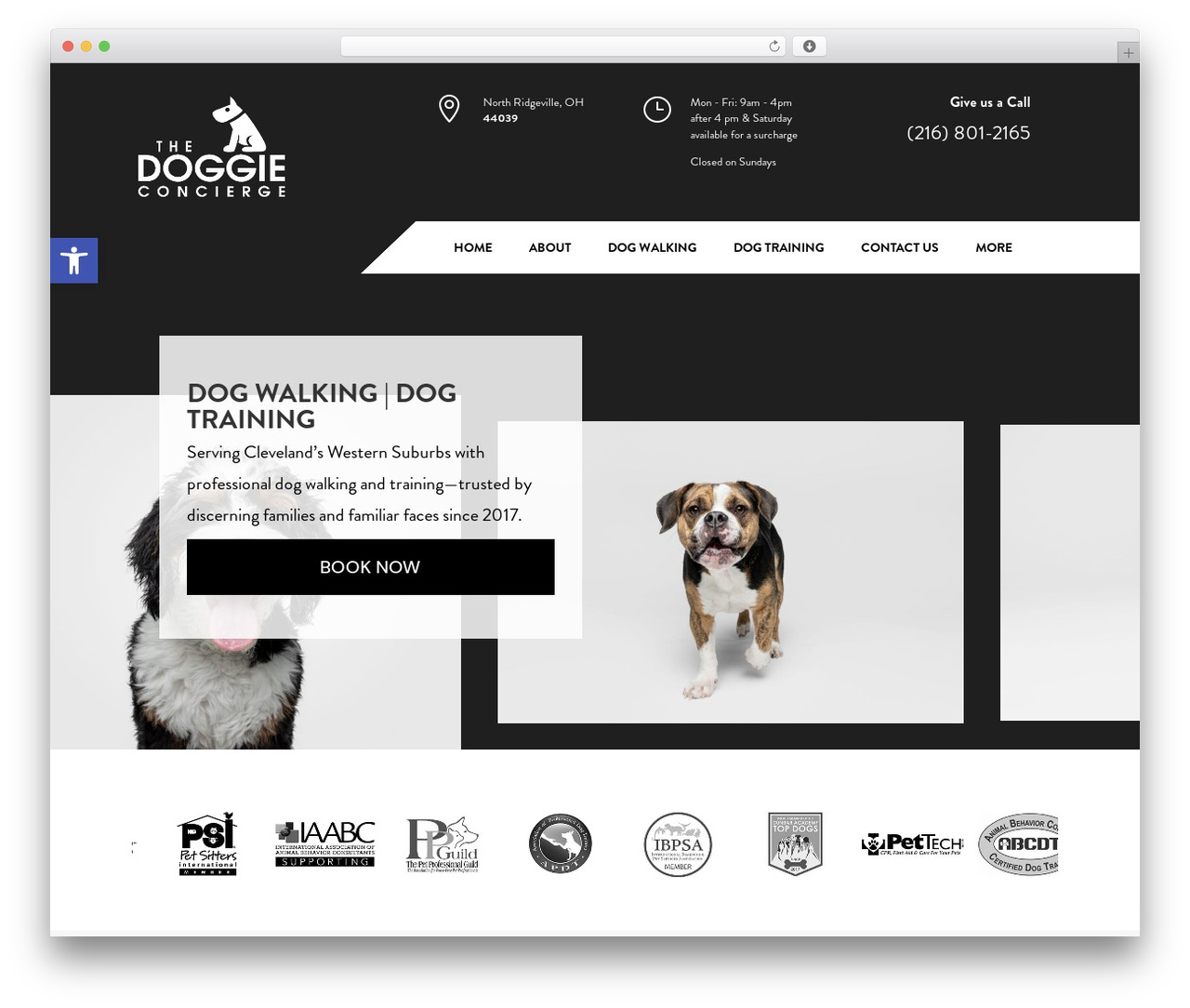 Theme WordPress Divi - thedoggieconcierge.com Theme WordPress Divi - thedoggieconcierge.com