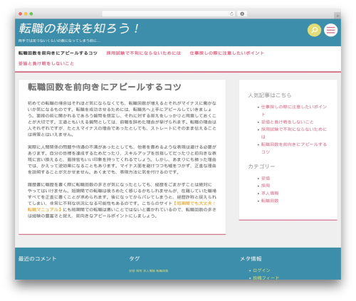 Triad WordPress theme design - aucklandplus.com