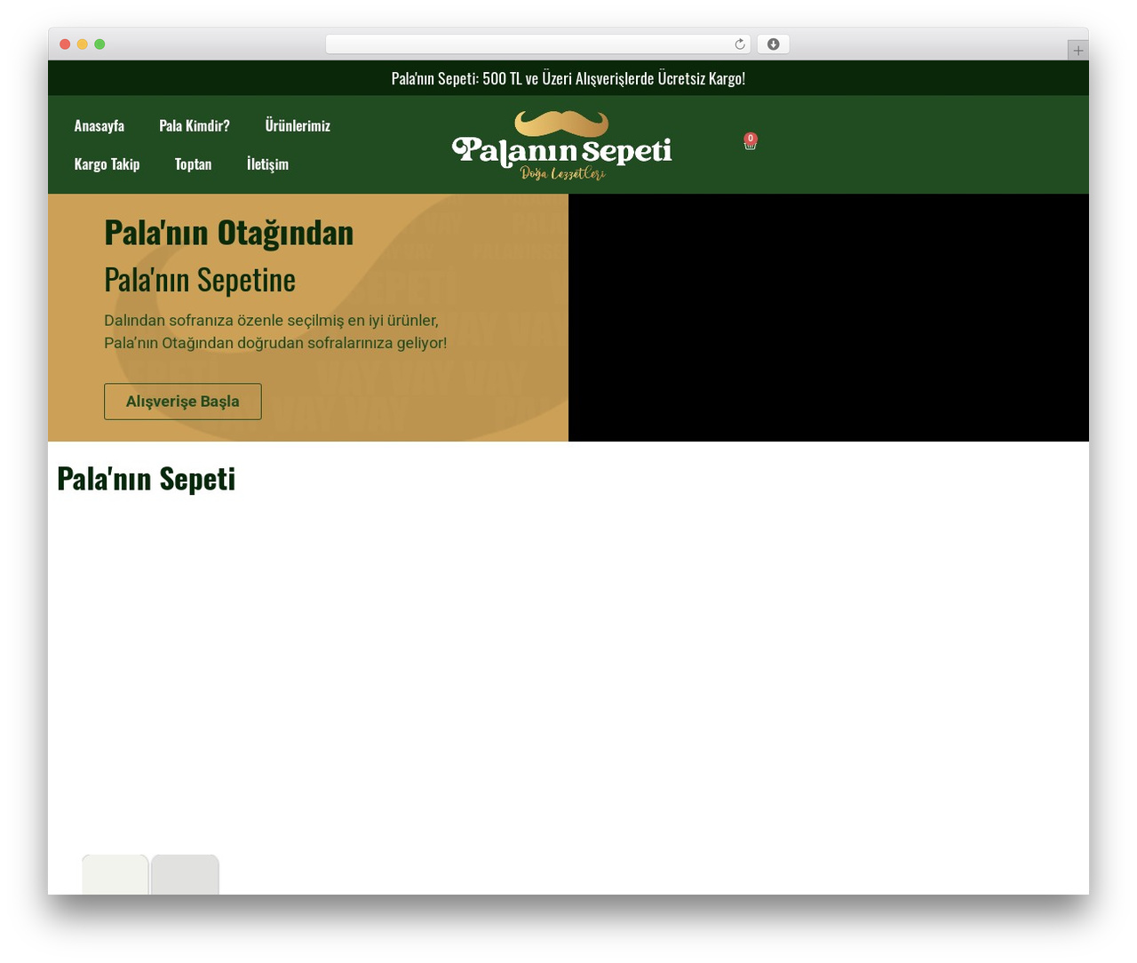 WP theme Hello Elementor - palaninsepeti.com