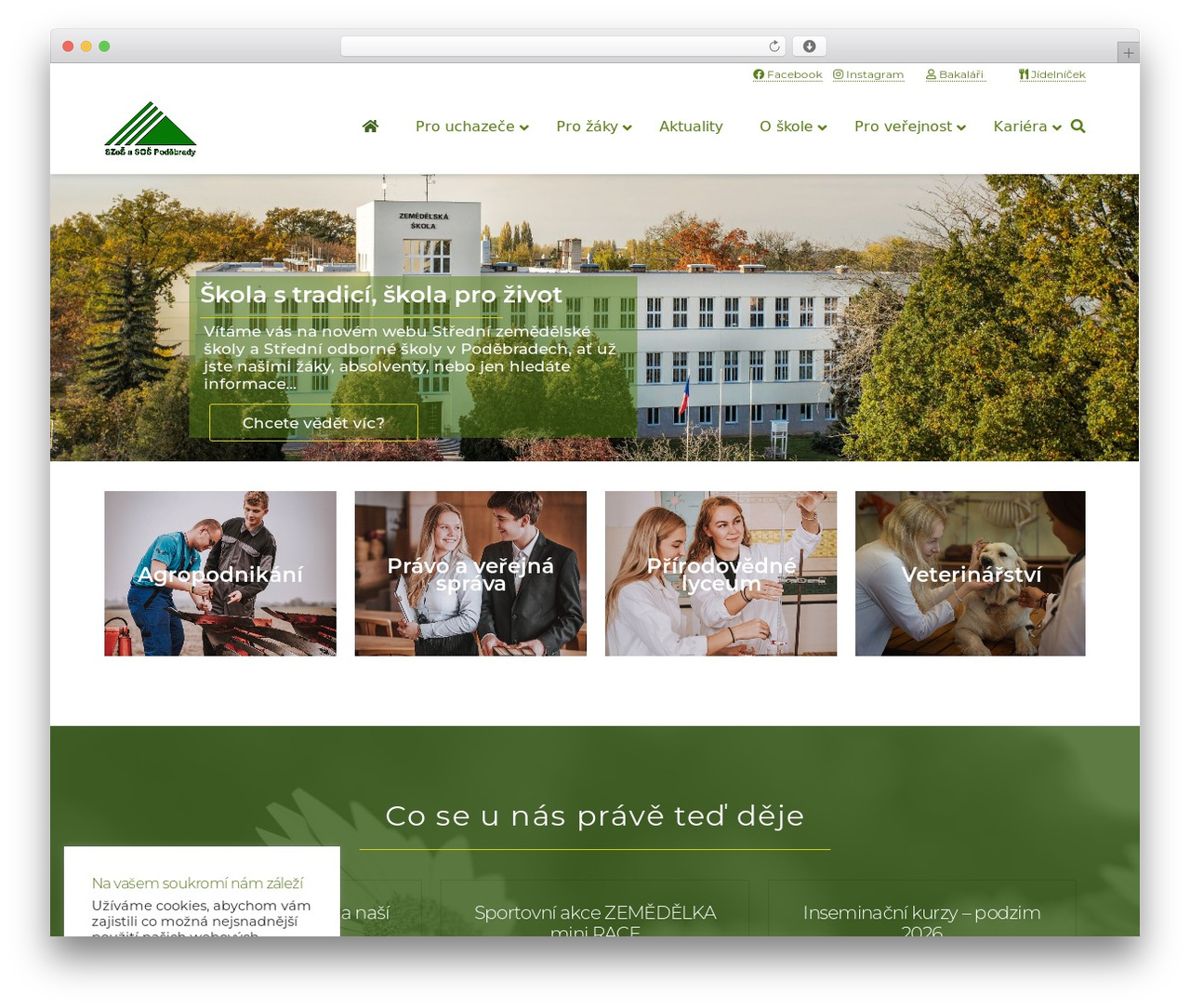 X theme WordPress - szes.cz X theme WordPress - szes.cz