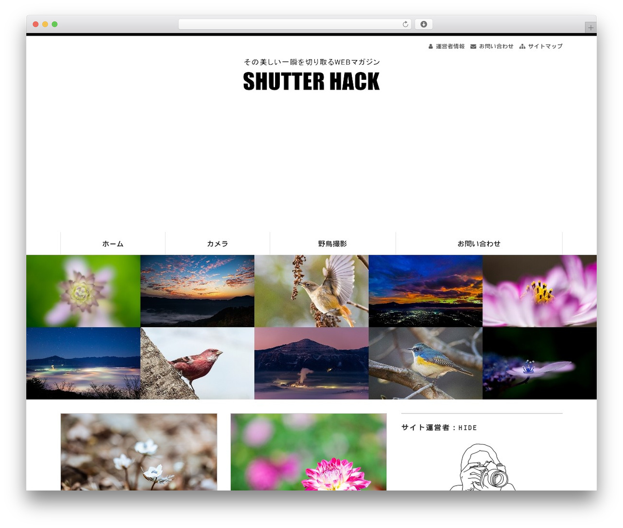 Alpha WordPress theme design - tano41.net Alpha WordPress theme design - tano41.net