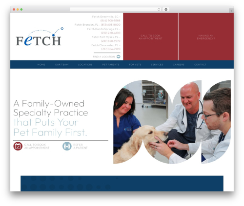 Bt pro WordPress plugin - fetchvets.com