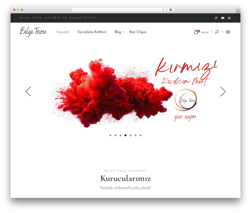 chapterone theme WordPress - bilgetozu.com