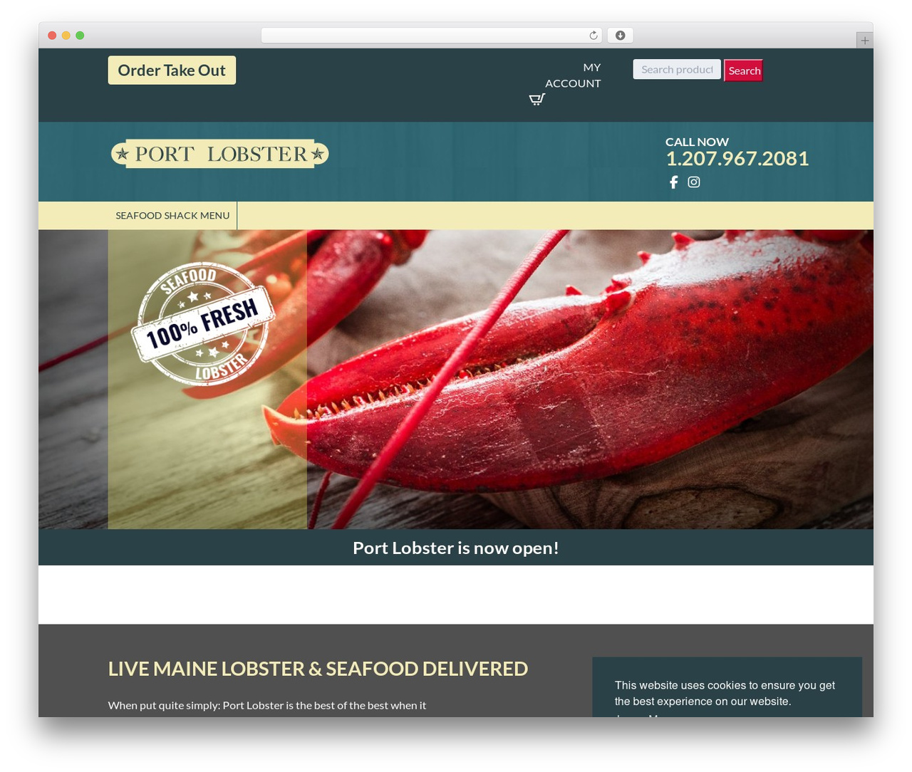 Custom Responsive (SASS) Theme WordPress theme design - portlobster.com