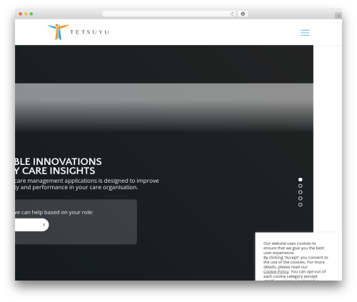 Dvteam WordPress plugin - tetsuyuhealthcare.com