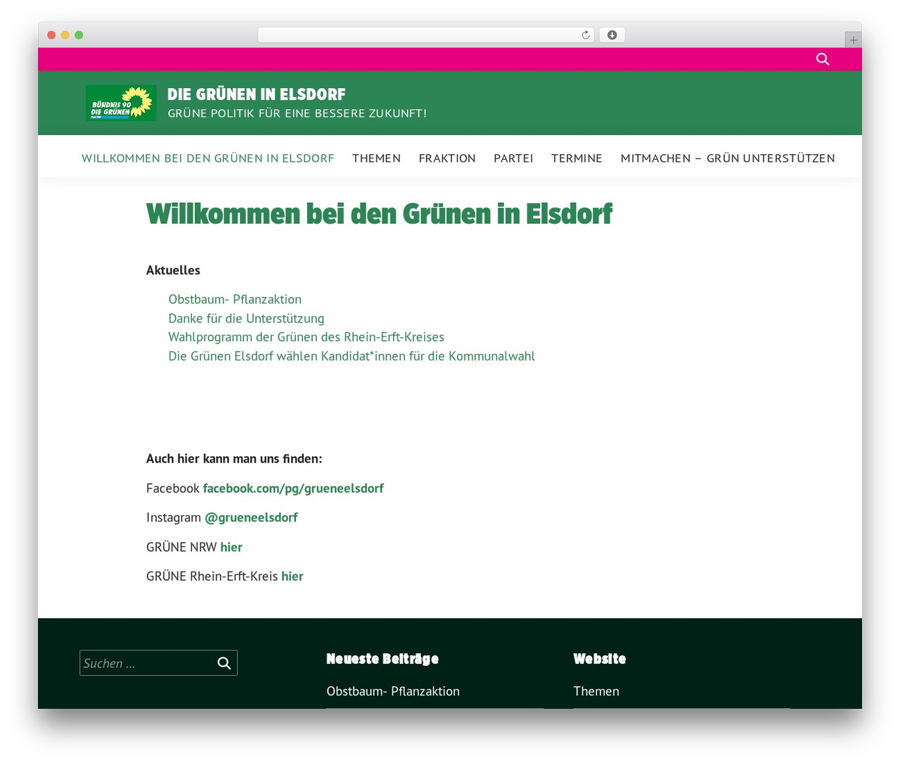 sunflower WordPress theme - gruene-elsdorf.de