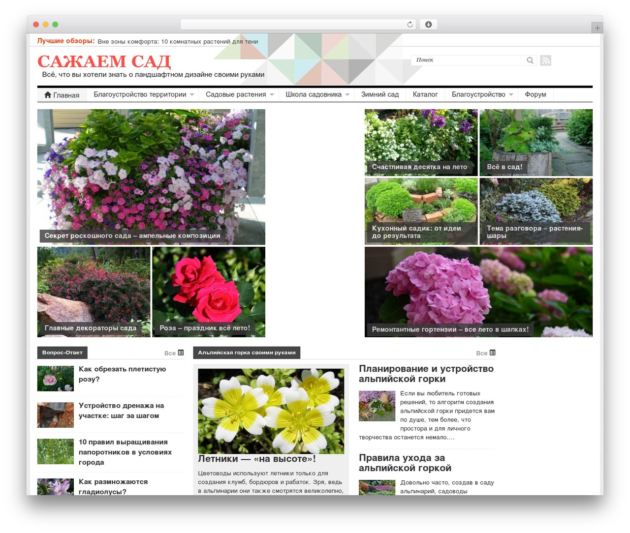 Theme WordPress patterns - sazhaemsad.ru