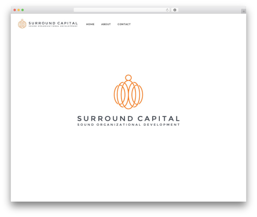 Modal_survey WordPress plugin - surroundcapital.com