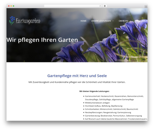 Gdpr compliant recaptcha for all forms WordPress plugin - enziangarten.ch