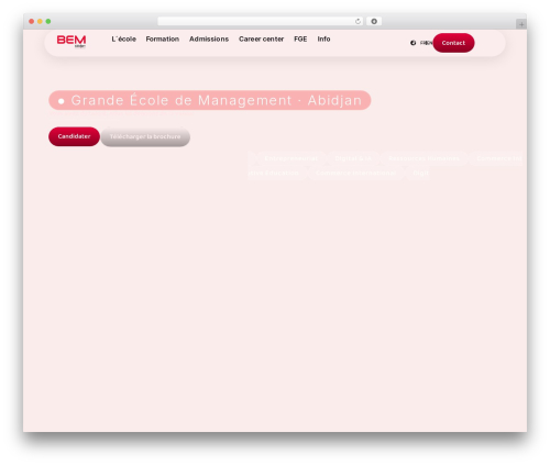 International telephone field for elementor form WordPress plugin - bem.ci