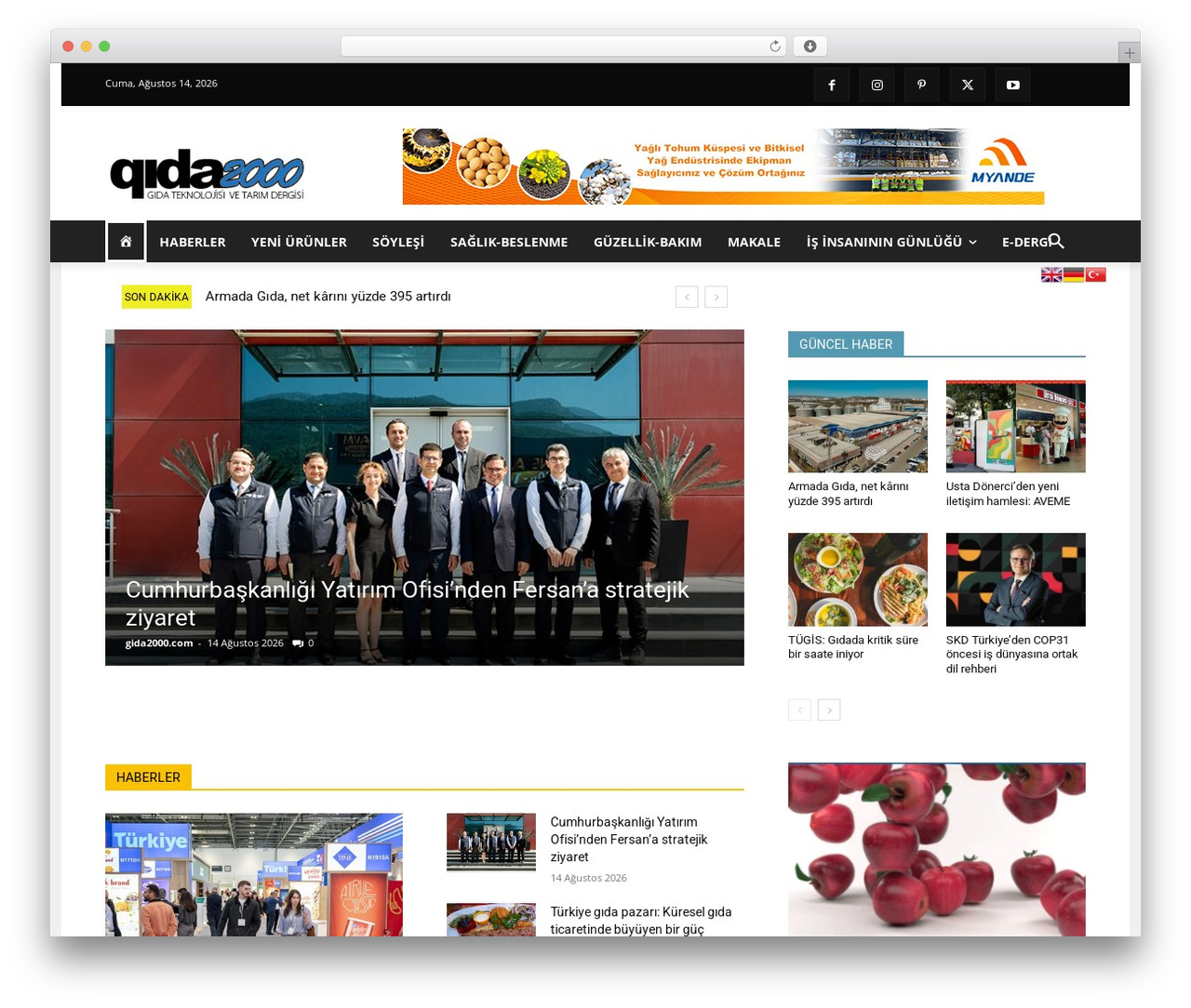 Newspaper WordPress theme - gida2000.com