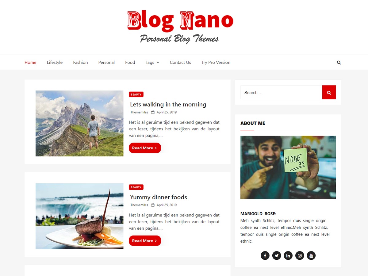 Blog Nano WordPress store theme