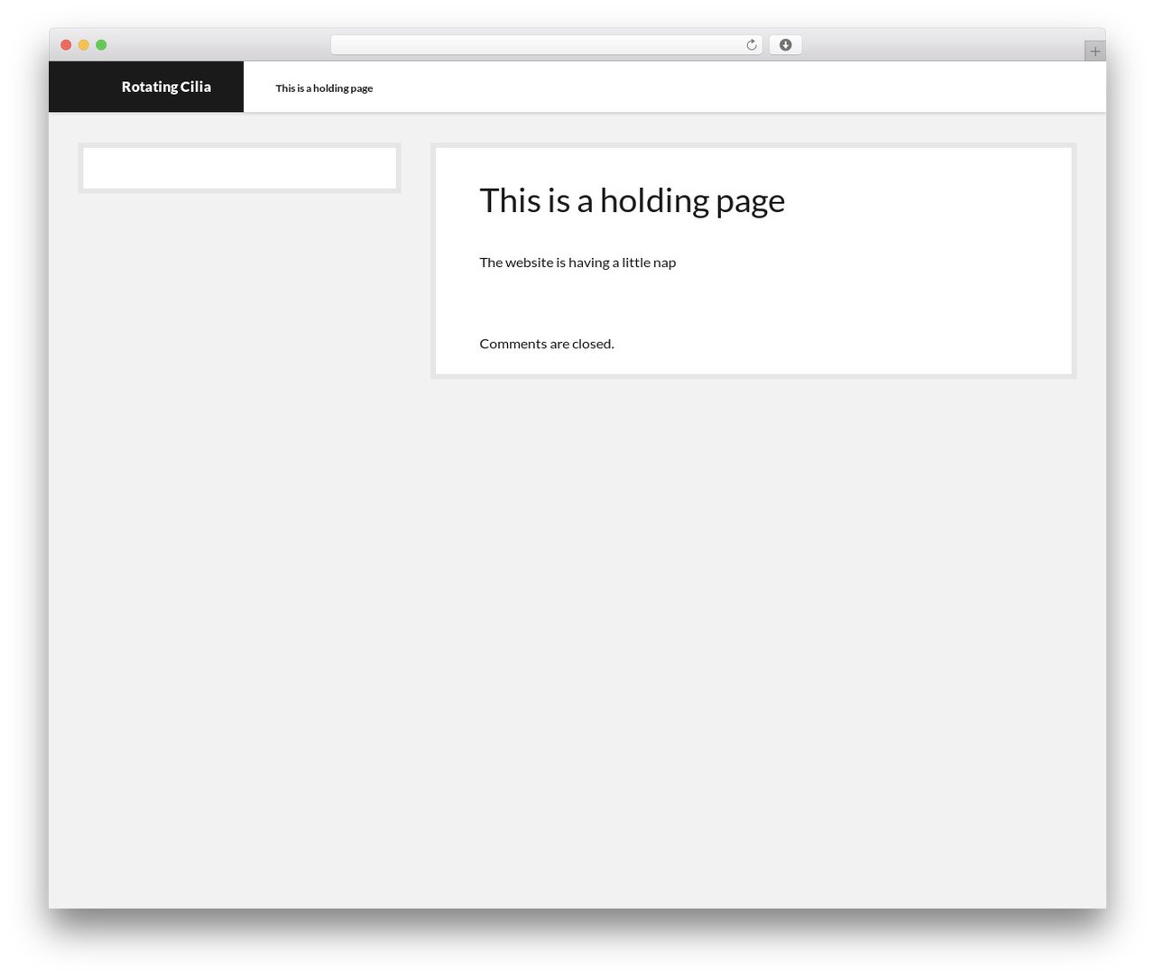 Shift WordPress theme - rotatingcilia.com