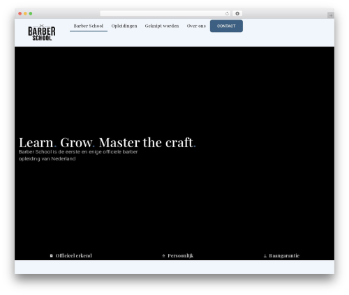 Better post filter widgets for elementor WordPress plugin - barberschool.nl