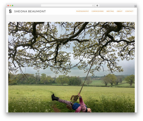 Visual portfolio pro WordPress plugin - shospace.co.uk