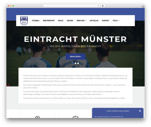WordPress theme Trophy - eintracht-muenster.de
