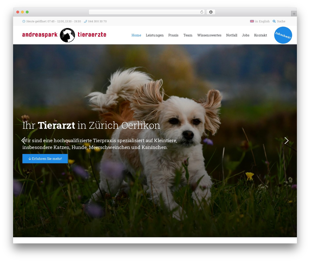 WordPress theme Web-Elements 15.3.0 - andreaspark-tieraerzte.ch