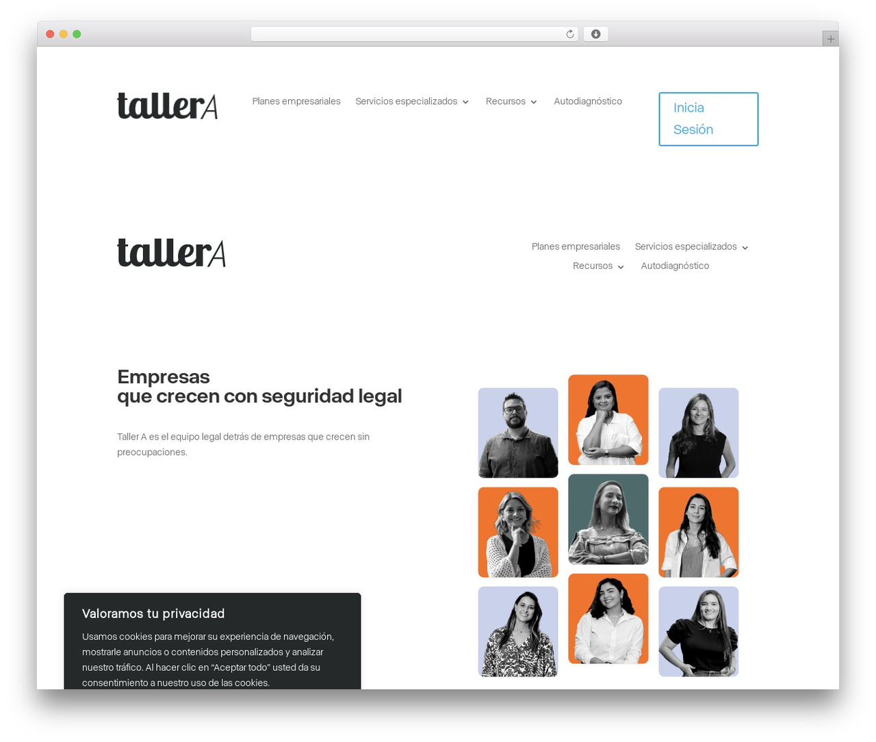 Divi Child WordPress theme - tallera.co