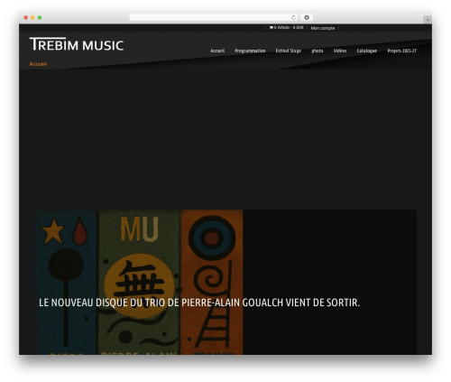 Musicpro top WordPress theme - trebim-music.com