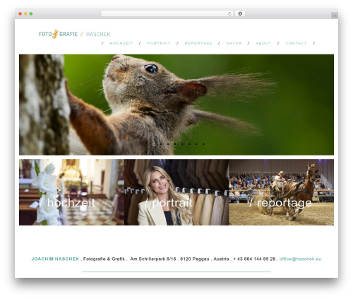 Theme WordPress Shutter - haschek.eu