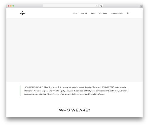 Mgroadmaptimeline WordPress plugin - schweizer.world